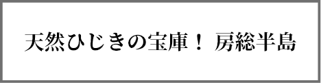 天然ひじきの宝庫！ 房総半島