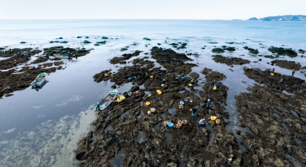 三方を海に囲まれ黒潮の影響を受ける房総半島。